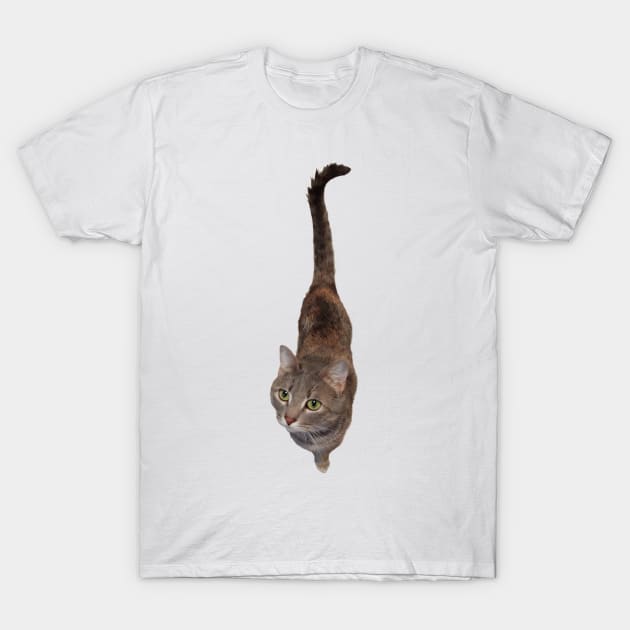 Jelly Bean - Female Cat T-Shirt by A2Gretchen